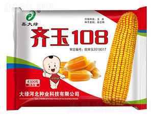齐玉108玉米种子鑫大绿